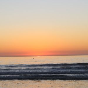 Meet your Posher, Isabella